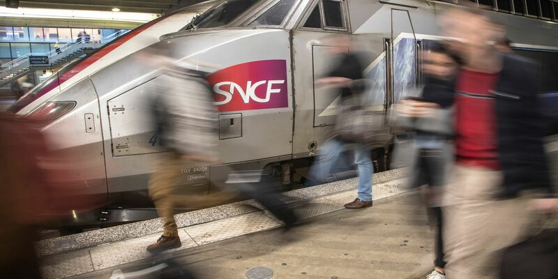 Die französische Bahn muss wegen einer überfahrenen Katze eine Entschädigung zahlen. - Foto: Michel Euler/AP/dpa