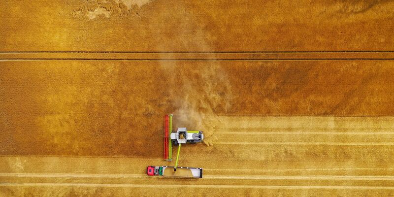 Ein Mähdrescher erntet Wintergerste. Die Landwirte in Sachsen erwarten in diesem Jahr eine durchschnittliche Ernte. Für die Bauern war der Winter zu trocken. - Foto: Jan Woitas/dpa