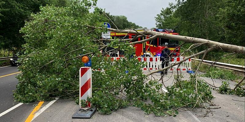 Einsatz der Feuerwehr Bremerhaven am 05.07.2023 - Foto: Feuerwehr Bremerhaven, Text: ?ber dts Nachrichtenagentur