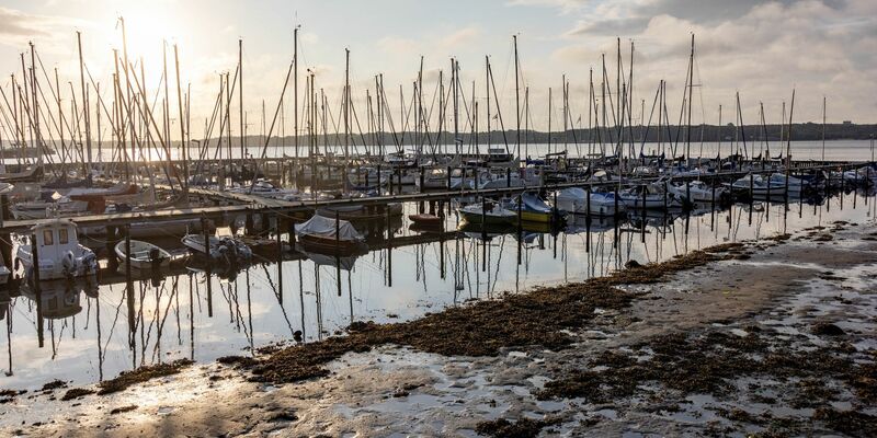 Die Sonne scheint auf einen Bootshafen an der Kieler Förde, aus dem das Sturmtief «Poly» das Wasser herausgedrückt hat, so dass die normalerweise mit Wasser bedeckten Ufer trocken liegen. - Foto: Axel Heimken/dpa