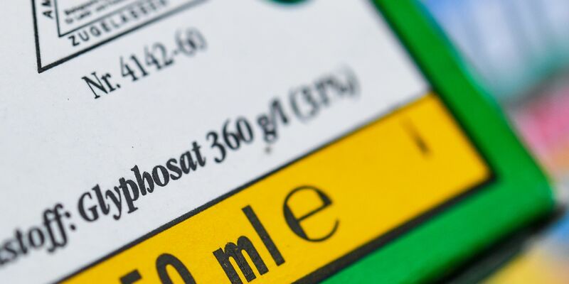 Die Europäische Behörde für Lebensmittelsicherheit hat eine mögliche Neubewertung von Glyphosat beraten. - Foto: Patrick Pleul/zb/dpa