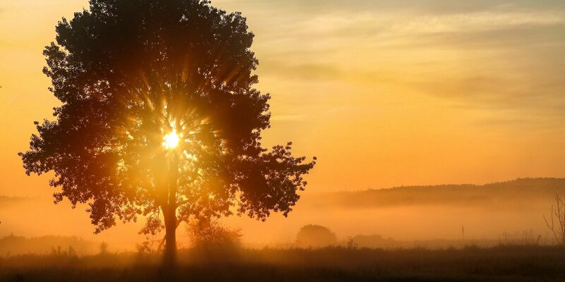 Die Sonne geht auf. Es wird heiß am Sonntag. - Foto: Thomas Warnack/dpa
