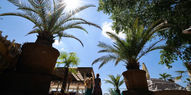 Zwei Freundinnen aus Hamburg gehen mit ihren Sonnenschirmen zum Elbstrand vor dem Strandbad Wedel. - Foto: Christian Charisius/dpa