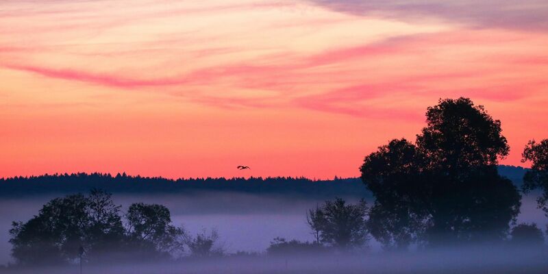 Morgenröte im baden-württembergischen Riedlingen. - Foto: Thomas Warnack/dpa