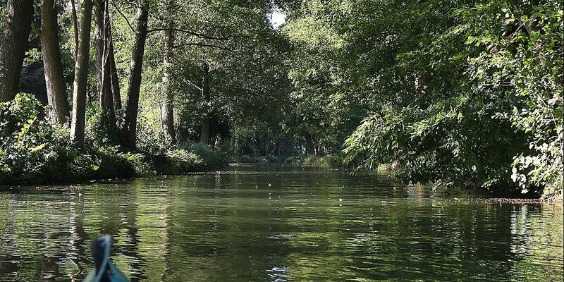 Spreewald - Foto: ?ber dts Nachrichtenagentur