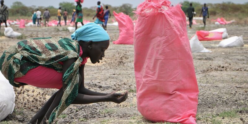 Der tägliche Kampf gegen den Hunger: Eine Frau im Südsüdan sammelt Hirse vom Boden auf, die in Säcken über der Stadt abgeworfen wurden. - Foto: Sam Mednick/AP/dpa