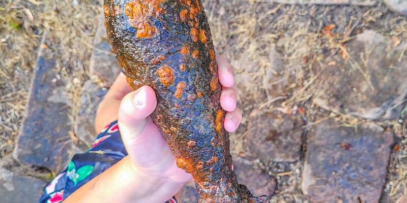 Ein Kind hält eine Wurfgranate in der Hand. - Foto: Marco Dürr/EinsatzReport24/dpa