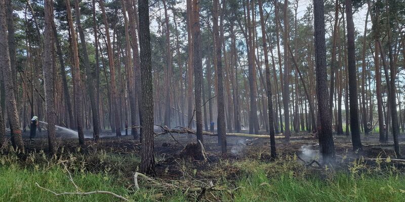 Feuerwehrleute löschen Glutnester eines Brandes in der Nähe von Bad Belzig in Brandenburg. - Foto: Cevin Dettlaff/dpa