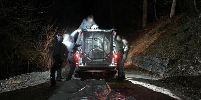 Mitarbeiter des Trentiner Forstkorps bereiten den Transport der Bärin JJ4 in ein Wildreservat vor (Archivbild). - Foto: -/Provinzregierung Trentino/dpa