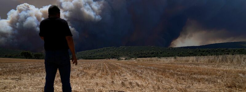 Feuerwehrfahrzeuge stehen auf einem Feld vor einem Waldbrand bei Athen. - Foto: Thanassis Stavrakis/AP/dpa