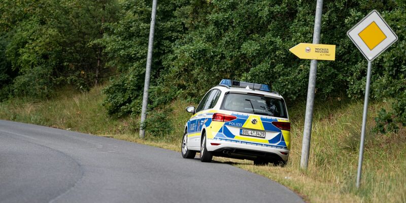 Im Süden von Berlin wurde ein Raubtier gesichtet - höchstwahrscheinlich eine Löwin. Die Polizei sucht. - Foto: Fabian Sommer/dpa