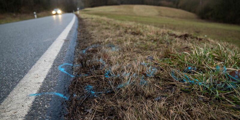 Markierungen wurden am Rand der Kreisstraße 22 zwischen den Orten Mayweilerhof und Ulmet (Rheinland-Pfalz) aufgetragen. Dort wurden Anfang 2022 eine Polizistin und ein Polizist bei einer Verkehrskontrolle erschossen. - Foto: Harald Tittel/dpa