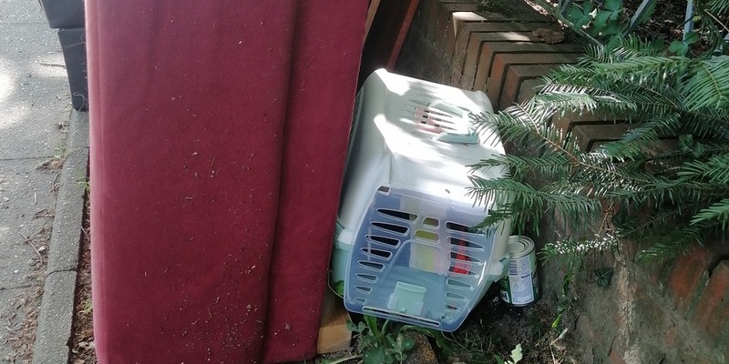 POL-WHV: Pressemeldung für das Wochenende 10.-12.10.2025 der Polizei Jever - Foto: presseportal.de