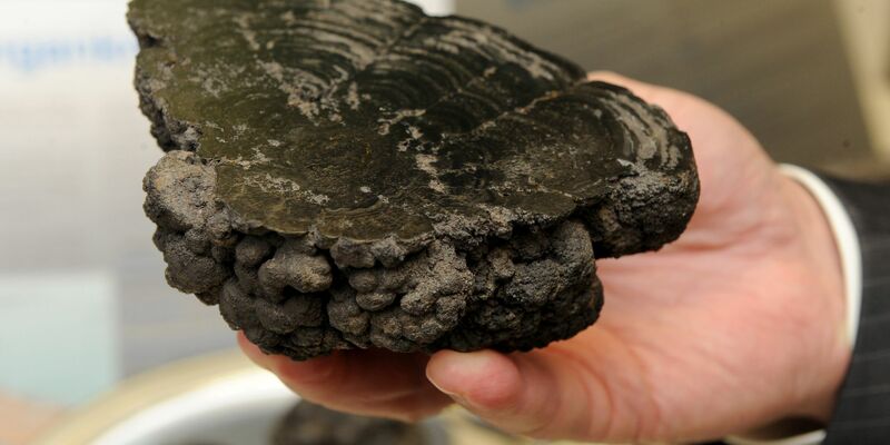 Manganknollen entstehen in in 4000 bis 6000 Metern Tiefe. - Foto: picture alliance / dpa