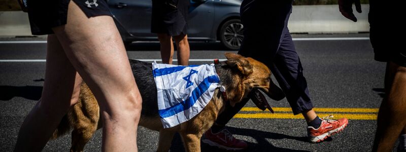 Ein Gegendemonstrant hat auf den Marsch nach Jerusalem seinen Hund mitgebracht. - Foto: Ilia Yefimovich/dpa
