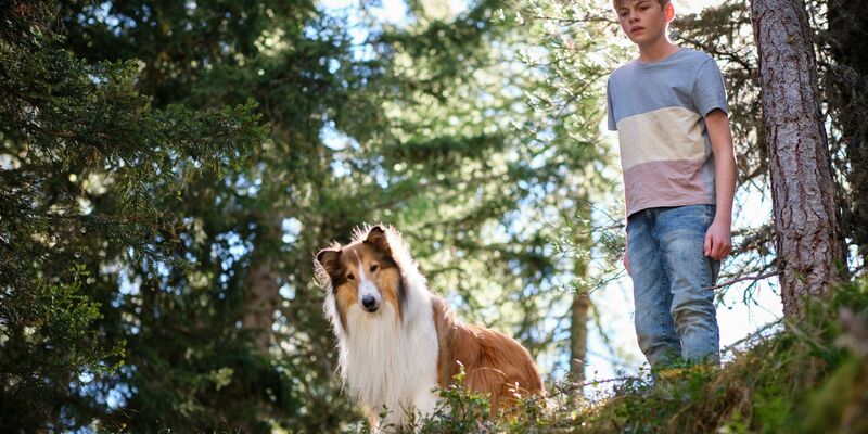Flo (Nico Marischka) will sich auch in den Ferien nicht von Lassie trennen. - Foto: Olver Oppitz/Leonine/dpa