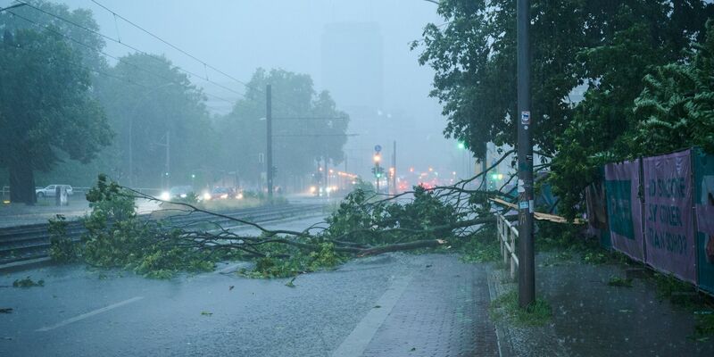 Der Starkregen hat einen Baum quer auf die Prenzlauer Allee stürzen lassen. - Foto: Annette Riedl/dpa