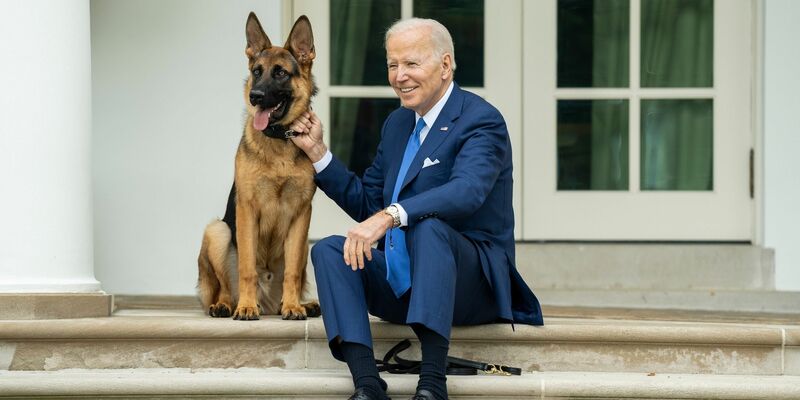 US-Präsident Joe Biden sitzt mit seinem Hund auf den Stufen vor dem Weißen Haus. - Foto: President Joe Biden/APA Images via ZUMA Press Wire/dpa