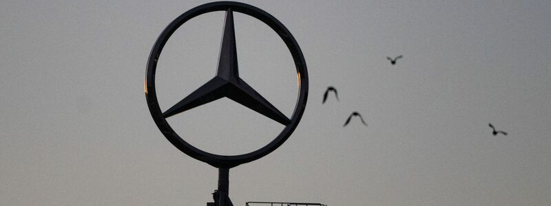 Vögel fliegen um einen Mercedes-Stern: Der  Autobauer hat Zahlen für das zweite Quartal 2023 bekanntgegeben. - Foto: Marijan Murat/dpa