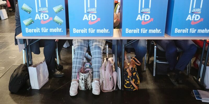 Delegierte geben hinter Wahlkabinen ihre Stimmen für die Listenplätze der AfD für die Europawahl ab. - Foto: Sebastian Willnow/dpa