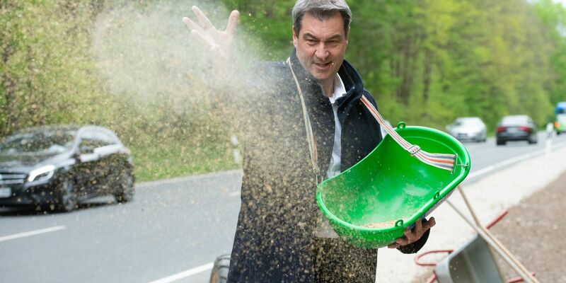 Bayerns Ministerpräsident Markus Söder bringt Saatgut für einen «Bienen-Highway» in Schwaig bei Nürnberg aus. - Foto: Timm Schamberger/dpa