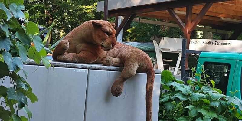 Wegen dieses Plüschtiers hat ein besorgter Anrufer in Berlin den Notruf gewählt. - Foto: Polizei Berlin