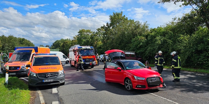 HZA-GI: Tierischer Besuch im Kindergarten Ein aufregender Vormittag für die Vorschulkinder in Schöffengrund - Foto: presseportal.de