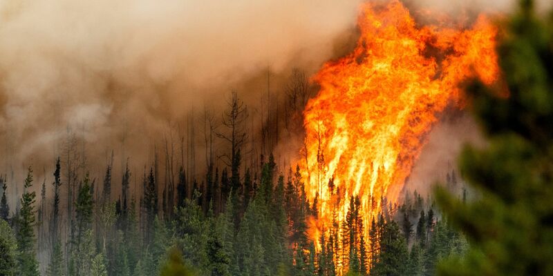 Ein Waldbrand wütet nahe Fort St. John in der kanadischen Provinz British Columbia. - Foto: Noah Berger/AP/dpa