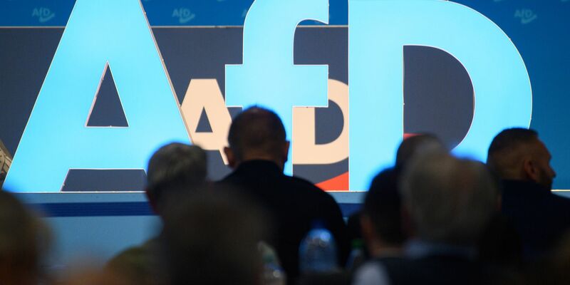 Europawahlversammlung der AfD in Magdeburg. - Foto: Klaus-Dietmar Gabbert/dpa