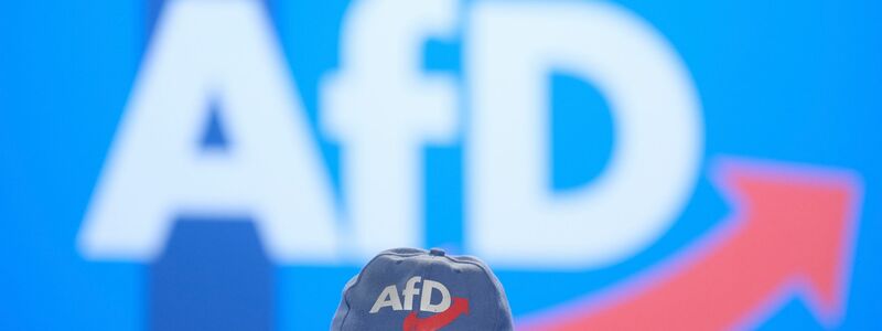 Aus Sicht der AfD soll an die Stelle der EU «ein Bund europäischer Nationen» treten. - Foto: Sebastian Willnow/dpa