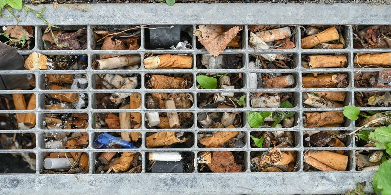 Durchschnittlich drei Zigaretten pro Quadratmeter fanden Forscher vor einigen Jahren in Berlin - das Maximum waren 49 pro Quadratmeter. - Foto: Patrick Pleul/dpa