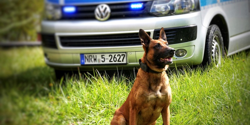 POL-HA: Mann greift Diensthundführer und Polizeihund Ragnar an - Foto: presseportal.de