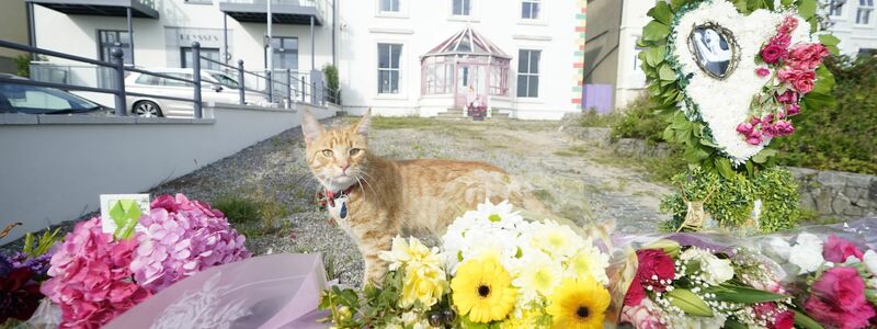 Blumen vor dem ehemaligen Haus der irischen Sängerin Sinead O'Connor. - Foto: Niall Carson/PA Wire/dpa