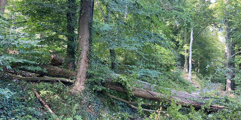 FW-NE: Brand in Industriebetrieb an der Düsseldorfer Straße nach sieben Stunden gelöscht | Keine Verletzen - Foto: presseportal.de