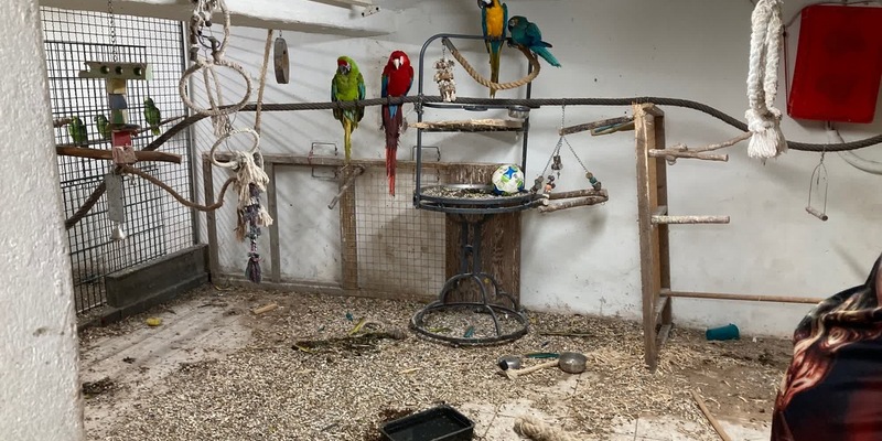 HZA-M: Zoll entdeckt seltene Singvögel - Foto: presseportal.de