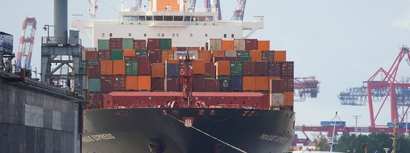 Das Containerschiff «Prague Express» der Reederei Hapag-Lloyd wird von Schleppern an einen Containerterminal im Hafen gezogen. - Foto: Marcus Brandt/dpa