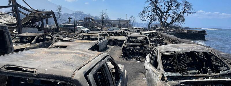 Ausgebrannte Autos stehen nach dem Waldbrand in Lahaina, Hawaii. - Foto: Tiffany Kidder Winn/via AP/dpa
