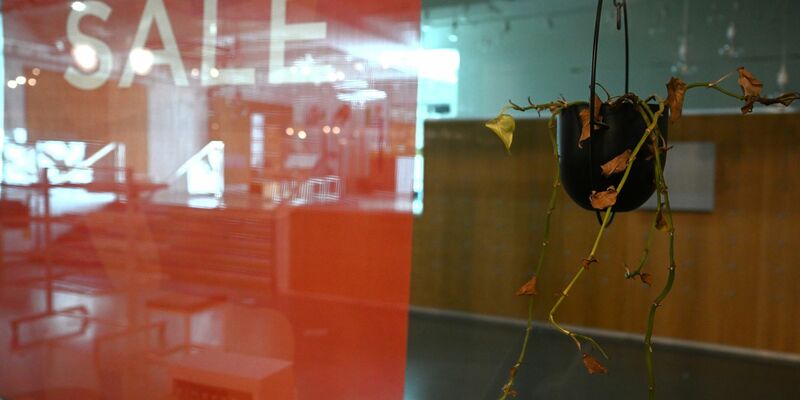 Im Juli 2023 beantragten 23,8 Prozent mehr Unternehmen Regelinsolvenzverfahren als im Vorjahresmonat. - Foto: Federico Gambarini/dpa