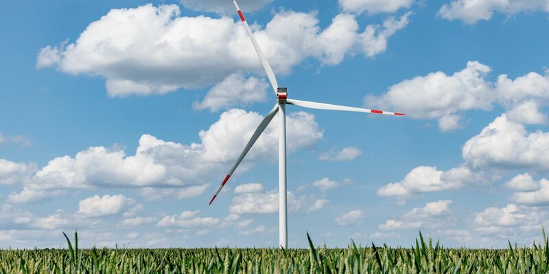 Die Bundesnetzagentur hat sich für eine Strompreisreform mit niedrigeren Gebühren für Regionen mit viel Windkraft ausgesprochen. - Foto: Markus Scholz/dpa