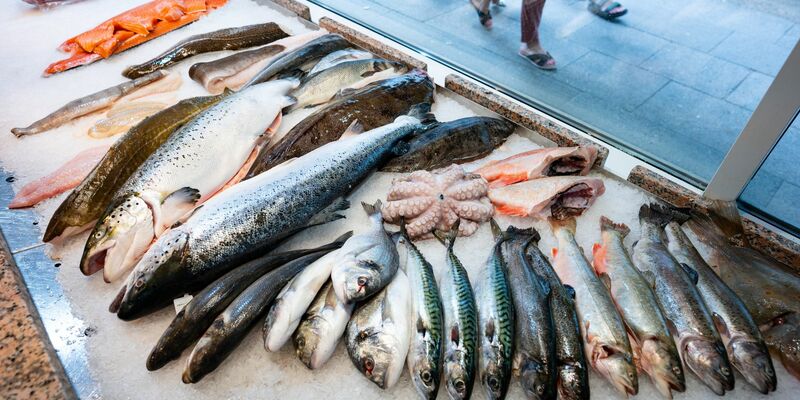 Die Preise für Fisch sind im letzten Jahr deutlich gestiegen. - Foto: Jonas Walzberg/dpa