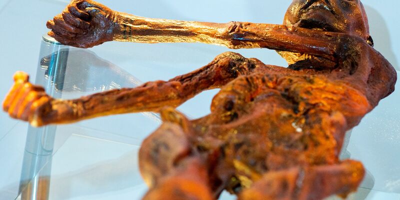 Ein Replikat des 1991 in den Ötztaler Alpen entdeckten Steinzeitmenschen «Ötzi» im Museum für Naturkunde in Magdeburg. - Foto: Klaus-Dietmar Gabbert/dpa-Zentralbild/dpa