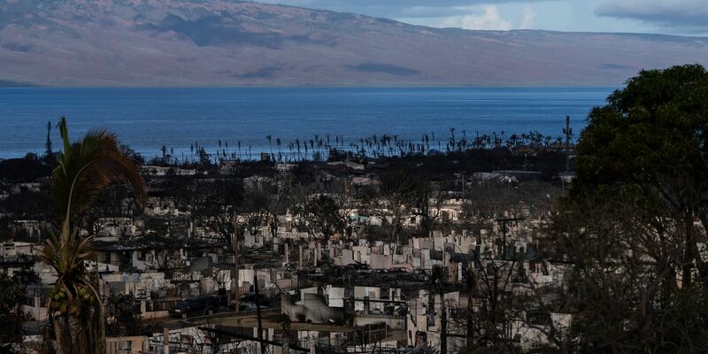 Nach den verheerenden Bränden auf der Insel Maui im US-Bundesstaat Hawaii haben Suchtrupps weitere Leichen in ausgebrannten Gebäuden gefunden. - Foto: Jae C. Hong/AP/dpa