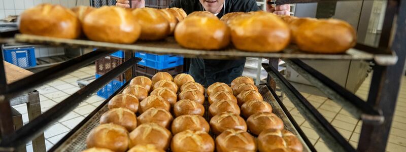 Inzwischen in der sechsten Generation beschäftigt die Brücklmaier Bäckerei rund 70 Mitarbeiter in fünf Filialen in München und drei im Umland. - Foto: Peter Kneffel/dpa