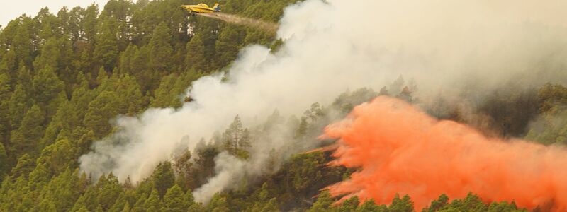 Ein Löschflugzeug wirft Wasser auf den Waldbrand in der Nähe der Gemeinde El Rosario auf Teneriffa. - Foto: Europa Press/EUROPA PRESS/dpa