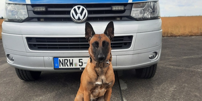 HZA-BI: Zollhündin Skadi erschnüffelt 22 Kilo Marihuana in zwei Koffern/Bielefelder Zoll landet bei Kontrolle eines Reisebusses auf der A2 einen Volltreffer - Foto: presseportal.de