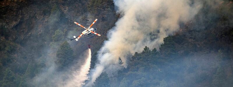 Der Waldbrand auf der Kanaren-Insel Teneriffa geht wohl auf Brandstiftung zurück. - Foto: Arturo Rodriguez/AP/dpa