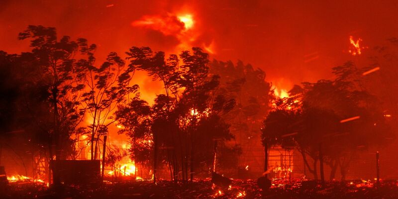 Das Feuer verbrennt ein Haus im Dorf in der Nähe der Stadt Alexandroupolis in der nordöstlichen Region Evros. Stürmische Winde fachen die Flammen der Waldbrände in ganz Griechenland an. - Foto: Achilleas Chiras/AP