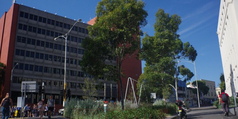 Blick auf die untersuchte Grünfläche in Melbourne. Einer Studie zufolge wurde dort ein siebenfacher Anstieg der Insektenarten binnen drei Jahren festgestellt. - Foto: Mata, Et al/EurekAlert/dpa