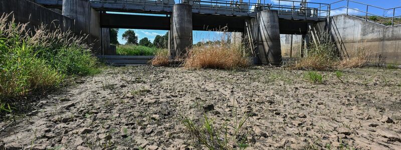 Ausgetrockneter Teilabschnitt des Flusses Schwarze Elster in Südbrandenburg im vergangenem Sommer. - Foto: Patrick Pleul/dpa