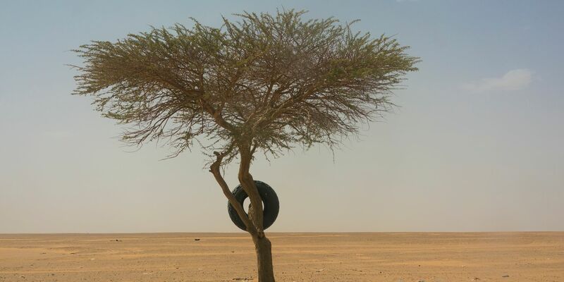 An der Grenze zwischen Saudi-Arabien und dem Jemen sollen Sprengwaffen gegen Migranten eingesetzt werden. (Symbolbild) - Foto: Jerome Delay/AP/dpa